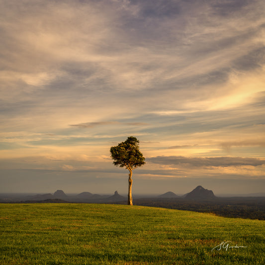 One Tree Hill - Glass House Mts